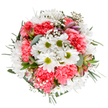 This exquisite spring-inspired bouquet, designed by a skilled Rickmansworth florist, radiates joy and fresh beginnings. From a top-down vantage, pure white daisies with lively green centres gather at the centre, their crisp petals glowing against the deeper coral-pink of ruffled carnations that surround them in a welcoming embrace. Flecks of delicate gypsophila are interwoven throughout like tiny starlight, imbuing the arrangement with an airy luminescence that calls to mind the tranquility of Rickmansworth's scenic riverside walks. Sprigs of eucalyptus, their silvery leaves softened in the daylight, rest alongside slender alstroemeria buds, touched with hints of purple and blush-the promise of further floral delight. The foliage adds structure and depth, echoing the greenery of local parks, while the bouquet's rounded form feels thoughtful and intentional, as if sculpted with both heart and expertise. Each element is chosen not only for its visual beauty but for the emotions it evokes-appreciation, encouragement, and the simple pleasure of nature's palette. This bouquet is equally suited for a birthday surprise sent to a cherished friend in Chandlers Cross, a graceful expression of thanks, or a peaceful adornment for a garden-view kitchen in Rickmansworth. The pristine white setting places every vivid hue in sharp focus, highlighting the meticulous handiwork behind every stem and blossom-a true celebration of local floral artistry and the promise of a brighter day.